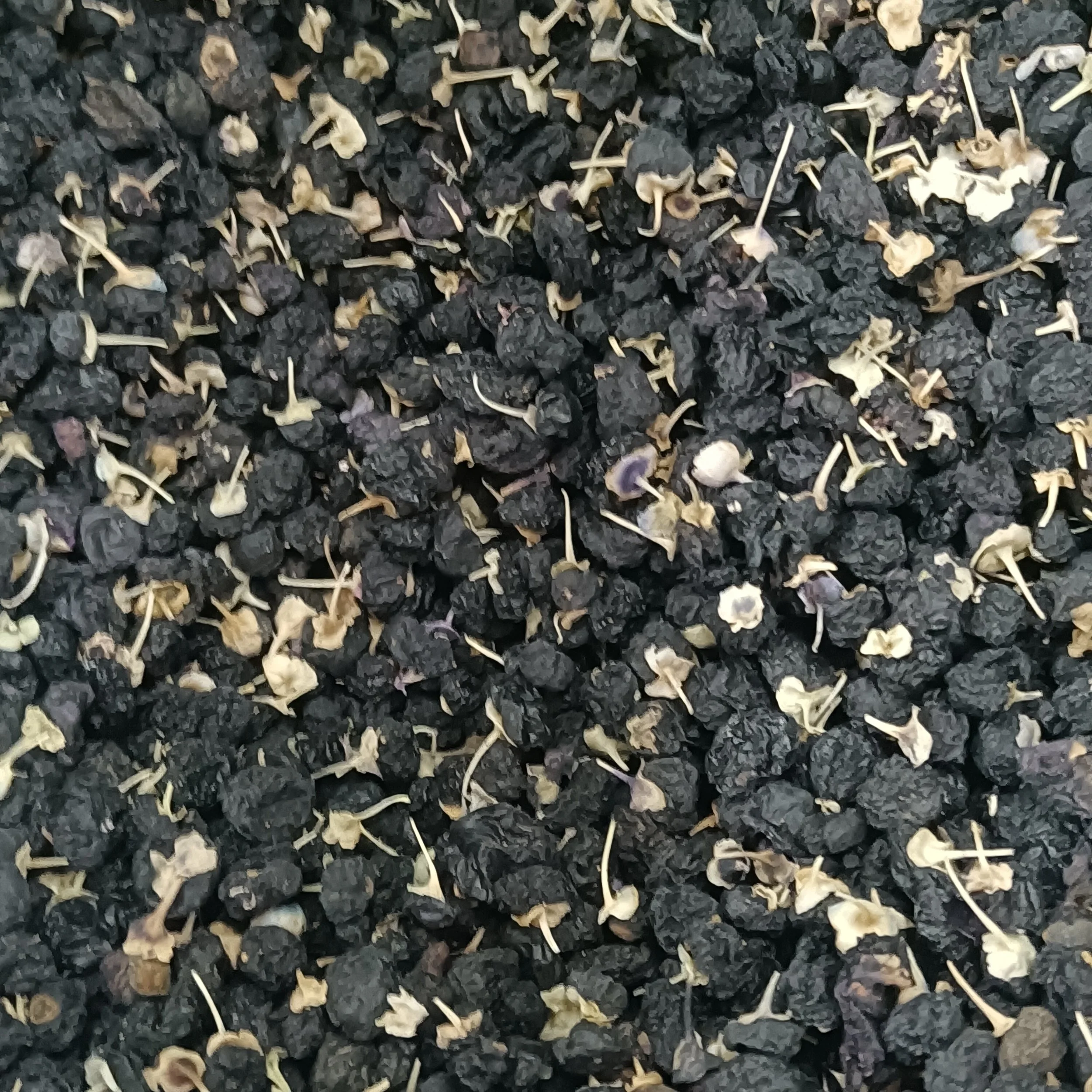 Black Goji Berry — Wanderlust Nursery